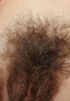 Abbey in scary hairy, Abbey (abb007) ATK Natural & Hairy: Abbey (Abbey in scary hairy)