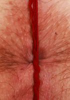 Adora Bell Lingerie Hairy Pussy Spreads, Adora Bell (ado005) ATK Natural & Hairy: Adora Bell (Adora Bell Lingerie Hairy Pussy Spreads)