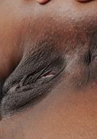 Ebony Adriana want to play, Adriana Malao (adr039) ATK Exotics: Adriana Malao (Ebony Adriana want to play)
