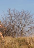 Agnes in nudism, Agnes (agn023) ATK Exotics: Agnes (Agnes in nudism)