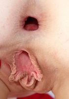 Alex spreads her pink pussy and gapes her horny ass, Alex Harper (ale162) ATK Galleria: Alex Harper (Alex spreads her pink pussy and gapes her horny ass)