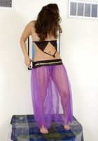 Alicia Silver in latinas, Alicia Silver (ali030) ATK Exotics: Alicia Silver (Alicia Silver in latinas)