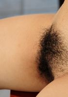 Ambar in amateur, Ambar (amb038) ATK Exotics: Ambar (Ambar in amateur)