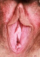 Amber Summer Exotic Hairy Pussy Spreading, Amber Summer (amb070) ATK Petites: Amber Summer (Amber Summer Exotic Hairy Pussy Spreading)
