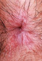 Come enjoy Amber's firm tits and hairy pussy., Amber Summer (amb070) ATK Natural & Hairy: Amber Summer (Come enjoy Amber's firm tits and hairy pussy.)