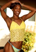 Amiya from ATK Exotics