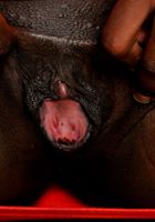 Ana Foxxx in black women, Ana Foxxx (ana027) ATK Exotics: Ana Foxxx (Ana Foxxx in black women)