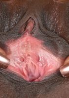 Ana Foxxx can show you her sexy ebony pussy, Ana Foxxx (ana027) ATK Exotics: Ana Foxxx (Ana Foxxx can show you her sexy ebony pussy)