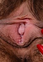 Andy Moon in young and hairy, Andy Moon (and101) ATK Natural & Hairy: Andy Moon (Andy Moon in young and hairy)