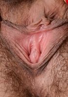 Andy Moon in young and hairy, Andy Moon (and101) ATK Natural & Hairy: Andy Moon (Andy Moon in young and hairy)