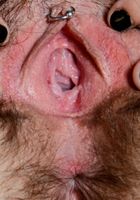 Anika Darling in scary hairy, Anika Darling (ani053) ATK Natural & Hairy: Anika Darling (Anika Darling in scary hairy)