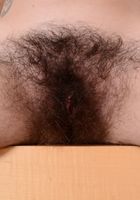 Anika Darling in young and hairy, Anika Darling (ani053) ATK Natural & Hairy: Anika Darling (Anika Darling in young and hairy)