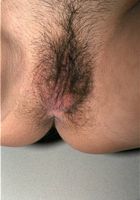 Anne in latinas, Anne (ann021) ATK Exotics: Anne (Anne in latinas)