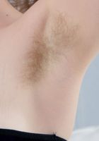 Apricot Pitts in young and hairy, Apricot Pitts (apr024) ATK Natural & Hairy: Apricot Pitts (Apricot Pitts in young and hairy)