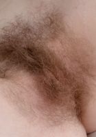 Apricot Pitts in young and hairy, Apricot Pitts (apr024) ATK Natural & Hairy: Apricot Pitts (Apricot Pitts in young and hairy)