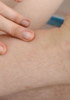 Apricot Pitts in young and hairy, Apricot Pitts (apr024) ATK Natural & Hairy: Apricot Pitts (Apricot Pitts in young and hairy)