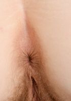 Apricot Pitts in young and hairy, Apricot Pitts (apr024) ATK Natural & Hairy: Apricot Pitts (Apricot Pitts in young and hairy)