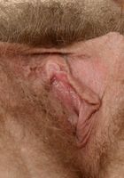 Apricot Pitts in young and hairy, Apricot Pitts (apr024) ATK Natural & Hairy: Apricot Pitts (Apricot Pitts in young and hairy)