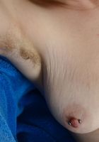 Apricot Pitts in young and hairy, Apricot Pitts (apr024) ATK Natural & Hairy: Apricot Pitts (Apricot Pitts in young and hairy)