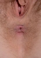 Apricot Pitts in young and hairy, Apricot Pitts (apr024) ATK Natural & Hairy: Apricot Pitts (Apricot Pitts in young and hairy)