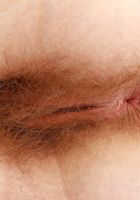 Apricot Pitts Lingerie Spreads, Apricot Pitts (apr024) ATK Natural & Hairy: Apricot Pitts (Apricot Pitts Lingerie Spreads)