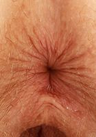 Apricot Pitts Spreads her Hairy Holes, Apricot Pitts (apr024) ATK Natural & Hairy: Apricot Pitts (Apricot Pitts Spreads her Hairy Holes)