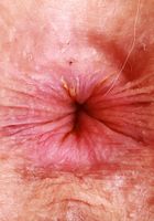 Apricot Pitts Ass Up Hairy Pussy Spreads, Apricot Pitts (apr024) ATK Natural & Hairy: Apricot Pitts (Apricot Pitts Ass Up Hairy Pussy Spreads)