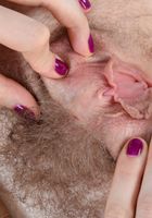 Apricot Pitts in amateur, Apricot Pitts (apr024) ATK Natural & Hairy: Apricot Pitts (Apricot Pitts in amateur)