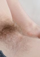 Apricot Pitts in young and hairy, Apricot Pitts (apr024) ATK Natural & Hairy: Apricot Pitts (Apricot Pitts in young and hairy)