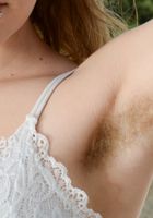 Apricot Pitts in young and hairy, Apricot Pitts (apr024) ATK Natural & Hairy: Apricot Pitts (Apricot Pitts in young and hairy)