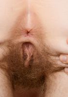 Apricot Pitts in young and hairy, Apricot Pitts (apr024) ATK Natural & Hairy: Apricot Pitts (Apricot Pitts in young and hairy)
