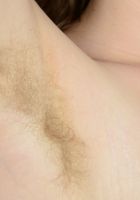 Apricot Pitts in young and hairy, Apricot Pitts (apr024) ATK Natural & Hairy: Apricot Pitts (Apricot Pitts in young and hairy)