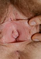 Apricot Pitts in young and hairy, Apricot Pitts (apr024) ATK Natural & Hairy: Apricot Pitts (Apricot Pitts in young and hairy)
