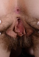Apricot Pitts in young and hairy, Apricot Pitts (apr024) ATK Natural & Hairy: Apricot Pitts (Apricot Pitts in young and hairy)