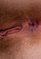 Apricot Pitts in young and hairy, Apricot Pitts (apr024) ATK Natural & Hairy: Apricot Pitts (Apricot Pitts in young and hairy)