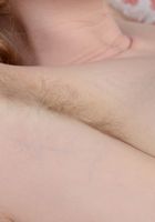 Apricot Pitts in young and hairy, Apricot Pitts (apr024) ATK Natural & Hairy: Apricot Pitts (Apricot Pitts in young and hairy)