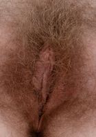 Apricot Pitts in young and hairy, Apricot Pitts (apr024) ATK Natural & Hairy: Apricot Pitts (Apricot Pitts in young and hairy)