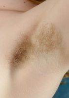 Apricot Pitts in young and hairy, Apricot Pitts (apr024) ATK Natural & Hairy: Apricot Pitts (Apricot Pitts in young and hairy)