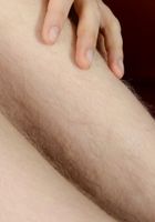 Apricot Pitts in young and hairy, Apricot Pitts (apr024) ATK Natural & Hairy: Apricot Pitts (Apricot Pitts in young and hairy)