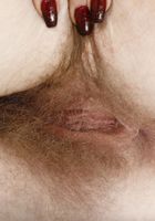 Apricot Pitts in young and hairy, Apricot Pitts (apr024) ATK Natural & Hairy: Apricot Pitts (Apricot Pitts in young and hairy)