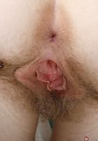 Apricot Pitts in young and hairy, Apricot Pitts (apr024) ATK Natural & Hairy: Apricot Pitts (Apricot Pitts in young and hairy)