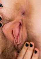Apricot Pitts from ATK Natural & Hairy
