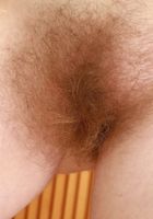 Apricot Pitts Indoor Strip, Apricot Pitts (apr024) ATK Natural & Hairy: Apricot Pitts (Apricot Pitts Indoor Strip)