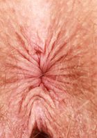 Apricot Pitts is in a naked kind of mood, Apricot Pitts (apr024) ATK Natural & Hairy: Apricot Pitts (Apricot Pitts is in a naked kind of mood)