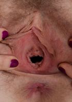 Apricot Pitts in hairy fun, Apricot Pitts (apr024) ATK Natural & Hairy: Apricot Pitts (Apricot Pitts in hairy fun)