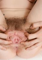 Apricot Pitts in young and hairy, Apricot Pitts (apr024) ATK Natural & Hairy: Apricot Pitts (Apricot Pitts in young and hairy)