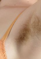 Apricot Pitts in young and hairy, Apricot Pitts (apr024) ATK Natural & Hairy: Apricot Pitts (Apricot Pitts in young and hairy)