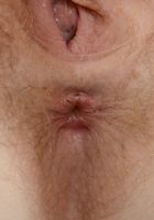 Apricot Pitts in young and hairy, Apricot Pitts (apr024) ATK Natural & Hairy: Apricot Pitts (Apricot Pitts in young and hairy)