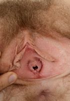 Apricot Pitts in young and hairy, Apricot Pitts (apr024) ATK Natural & Hairy: Apricot Pitts (Apricot Pitts in young and hairy)