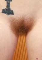 Apricot Pits Lingerie Bush Spreads, Apricot Pitts (apr024) ATK Natural & Hairy: Apricot Pitts (Apricot Pits Lingerie Bush Spreads)